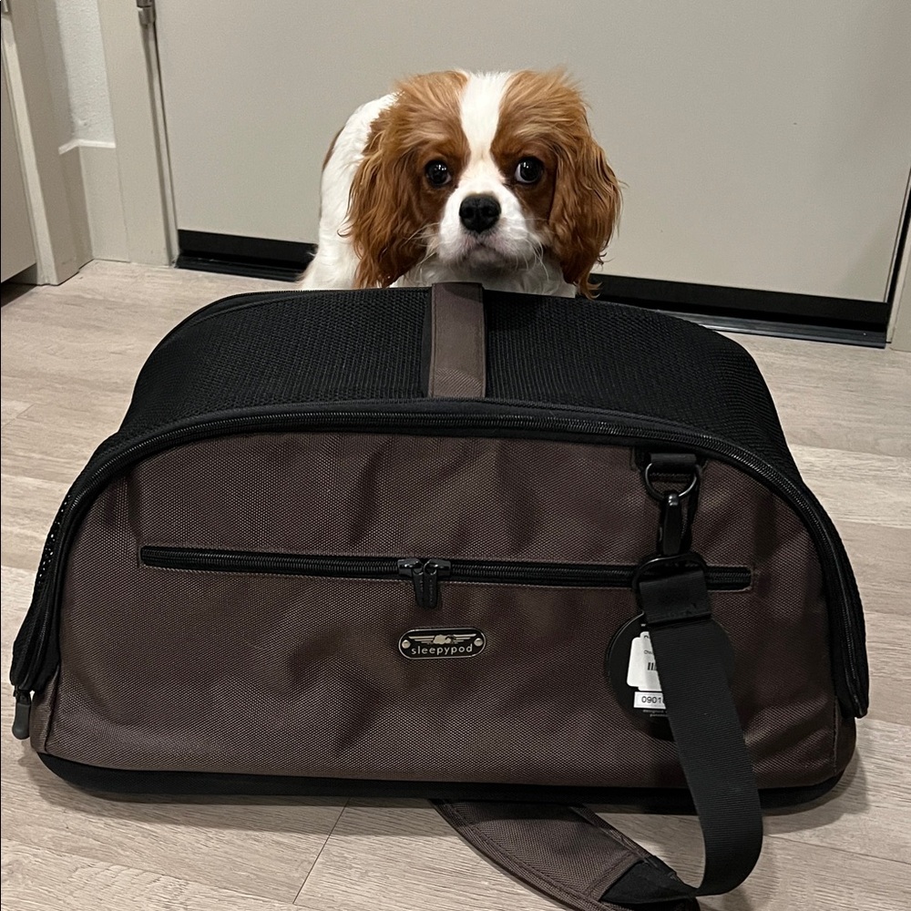 Dog Carrier - Black and Brown (sold out color)